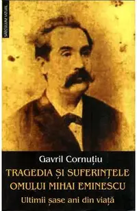 Tragedia si suferintele omului Mihai Eminescu. Ultimii sase ani din viata