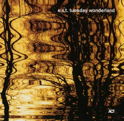 Tuesday Wonderland