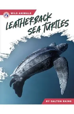 Leatherback Sea Turtles