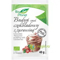 Budinca de Cacao cu Merisoare fara Zahar Adaugat Ecologica/Bio 40g