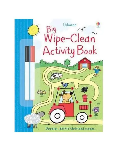 Big Wipe Clean Activity Book - Paperback - Sam Taplin