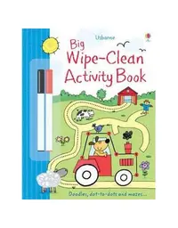 Big Wipe Clean Activity Book - Paperback - Sam Taplin
