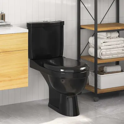 vidaXL Vas WC cu rezervor, negru