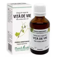 Extract din muguri de Vita de Vie, 50ml, PlantExtrakt