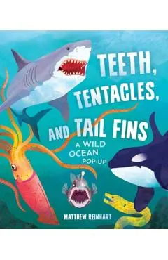 Teeth, Tentacles, and Tail Fins: A Wild Ocean Pop-Up (Reinhart Studios) (Ocean Book for Kids, Shark Book for Kids, Nature Book for Kids)