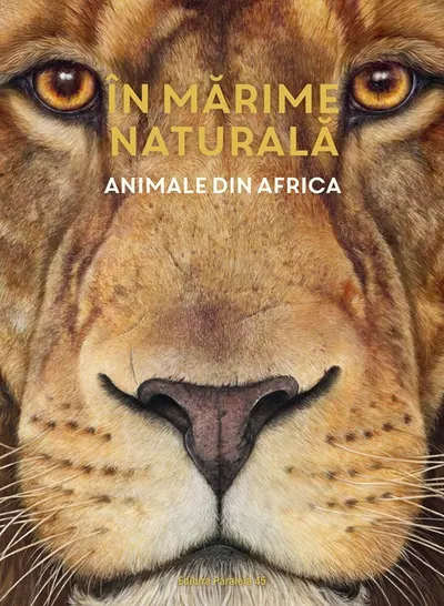 ÎN MARIME NATURALĂ. Animale din Africa (ediție hardcover)