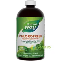 Chlorofresh Mint Liquid 480ml Secom,