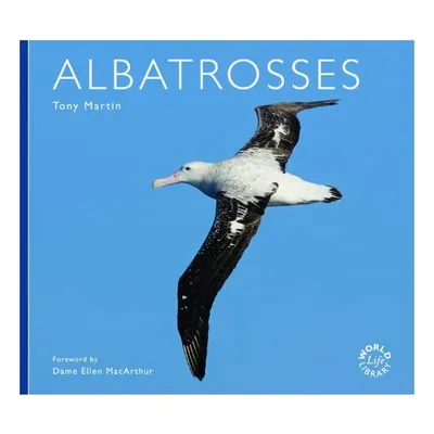 Albatross