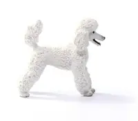 Figurina - Schleich - Pudel
