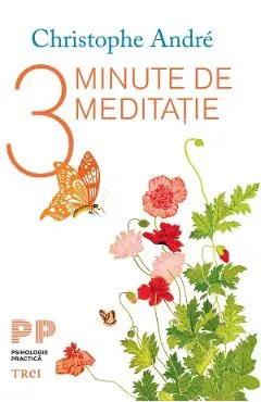 eBook 3 minute de meditatie