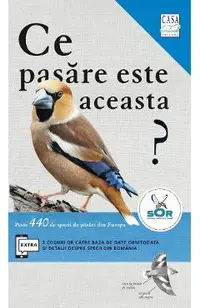 Ce pasare este aceasta?