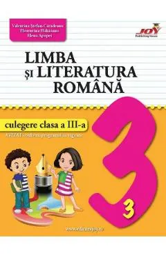Limba si literatura romana - Clasa 3 - Culegere