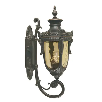 Aplica Philadelphia 1 Light Medium Wall Lantern – Old Bronze
