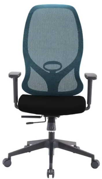 Scaun ergonomic RFG - STAR HB, albastru