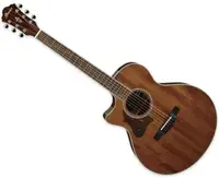 Chitara electrica acustica Ibanez - AE245L, Natural High Gloss