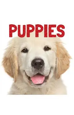 Puppies