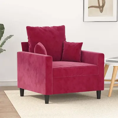 vidaXL Canapea de o persoană, roșu vin, 60 cm, catifea