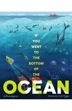 If You Went to the Bottom of the Ocean