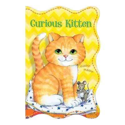 Curious Kitten
