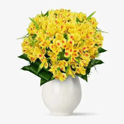 Buchet de 21 alstroemeria galbene