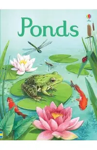 Ponds