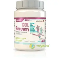 COL Recovery - Complex Post-Workout cu Proteine, Carbohidrati, BCAA, Colostru, B-Complex, 9 Minerale si Enzime Digestive 660g