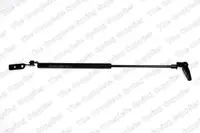 Amortizor portbagaj, haion, spate stanga NISSAN ALMERA I Hatchback 1995-2000