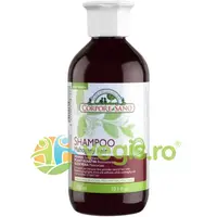 Sampon cu Henna pentru Par Saten - Roscat 300ml