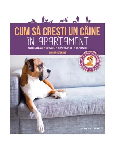 Cum să crești un câine în apartament - Paperback brosat - Otsmane Sandrine