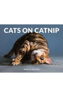 Cats on Catnip