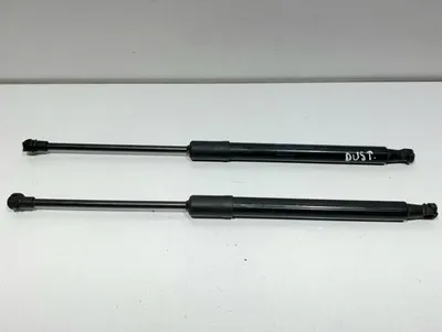 Set telescoape capota spate / haion 904522228R Dacia Duster 2 (2018-2021)