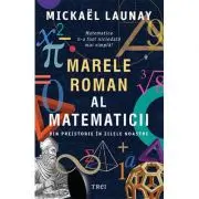 Marele roman al matematicii. Din preistorie in zilele noastre