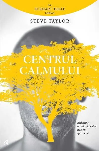 Centrul calmului - Paperback brosat - Steve Taylor