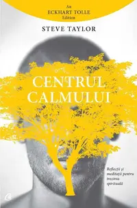 Centrul calmului - Paperback brosat - Steve Taylor
