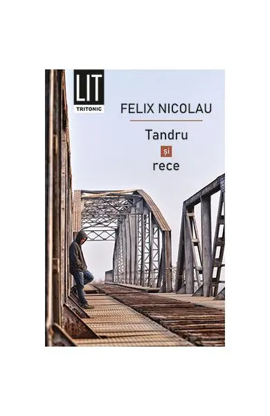 Tandru și rece - Paperback brosat - Felix Nicolau