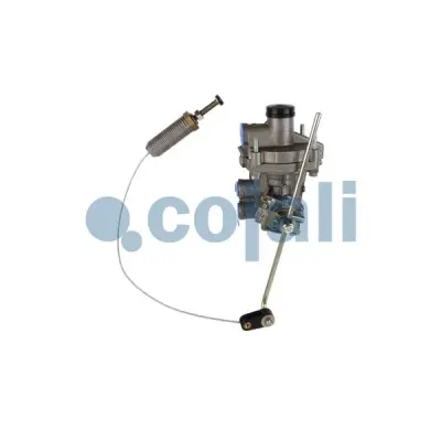 Releu, Alb Cojali 2220503