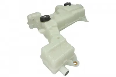 Vas expansiune lichid racire potrivit DAF CF 65, CF 75, CF 85, LF 45, LF 55, XF 105; RVI D, MIDLUM; VOLVO FL, FL II, FL III 01.00