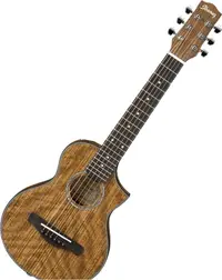Chitară acustică Ibanez - EWP14WB OPN, maro
