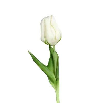 Plantă artificială (înălțime 20 cm) Tulip – Ego Dekor
