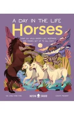 Horses (a Day in the Life): What Do Wild Horses Like Mustangs and Ponies Get Up to All Day?