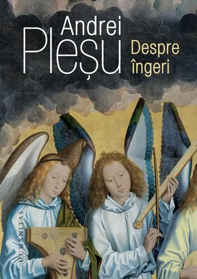 Despre îngeri - Hardcover - Andrei Pleșu