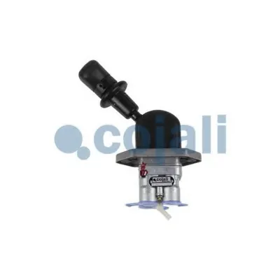 Cojali 2224544