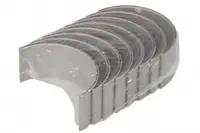 Set Cuzineti Biela (+0,50) Potrivit Citroen Jumper; Fiat Ducato; Ford C-Max, C-Max Ii, Focus C-Max, Focus Ii, Focus Iii, Galaxy Ii, Galaxy Iii, Galaxy Mk Ii, Grand C-Max, Kuga I 2.0d 2.2d 2.4d 01.00-