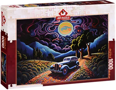 Puzzle Art Puzzle din 1000 de piese - O noapte în Transilvania