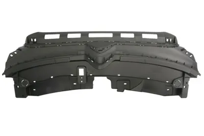 Grila radiator SX potrivit CITROEN C3 III 09.20