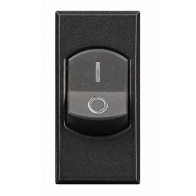 Intrerupatoare bipolare 32 A Axolute - Antracit - 1 modul
