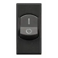 Intrerupatoare bipolare 32 A Axolute - Antracit - 1 modul