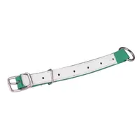 Curea Identificare Ovine - Verde, Albert Kerbl, 60 cm