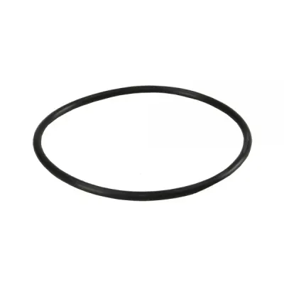 Garnitura tip Oring pentru carcasele filtrelor BigBlue