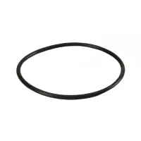 Garnitura tip Oring pentru carcasele filtrelor BigBlue